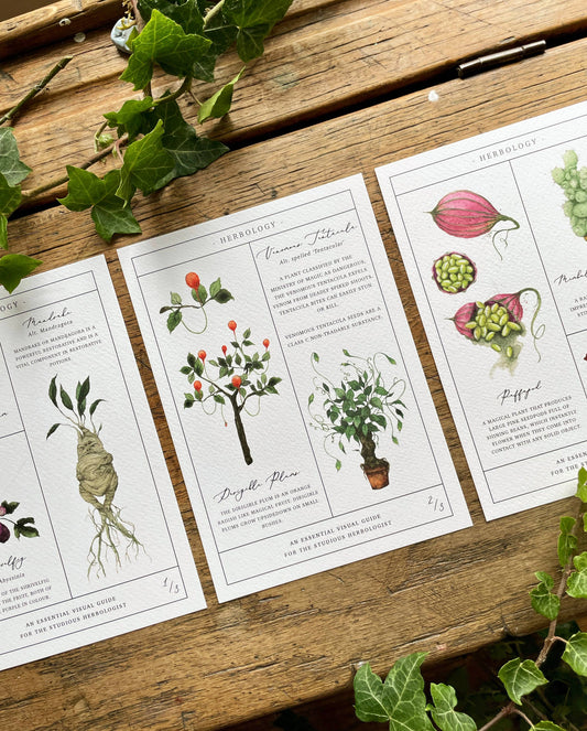Herbology Chart Magical Botanical Art Prints