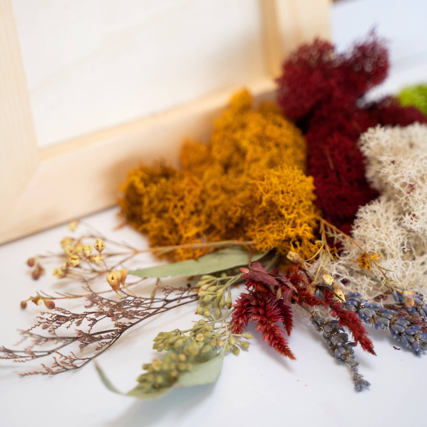 Moss Wall Art Kit