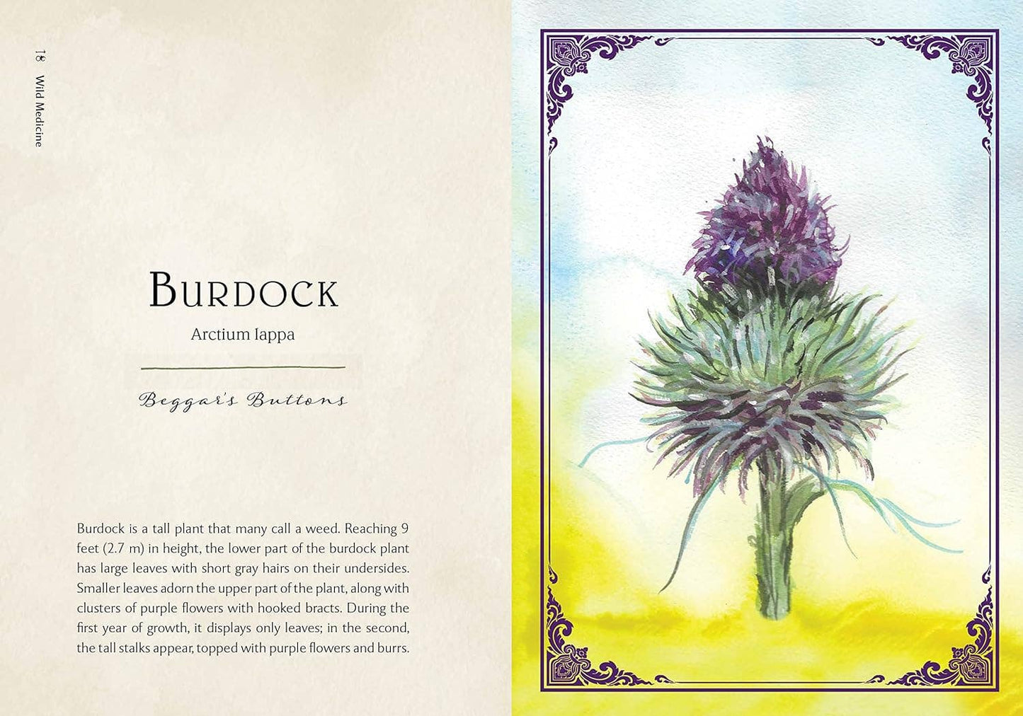 Wild Medicine: Illustrated Guide to the Magick of Herbs