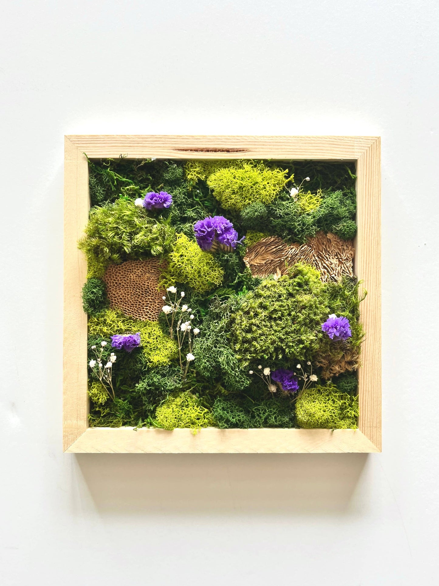 Moss Wall Art Kit