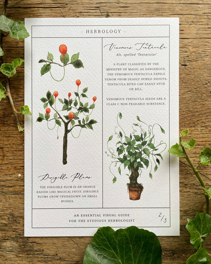 Herbology Chart Magical Botanical Art Prints