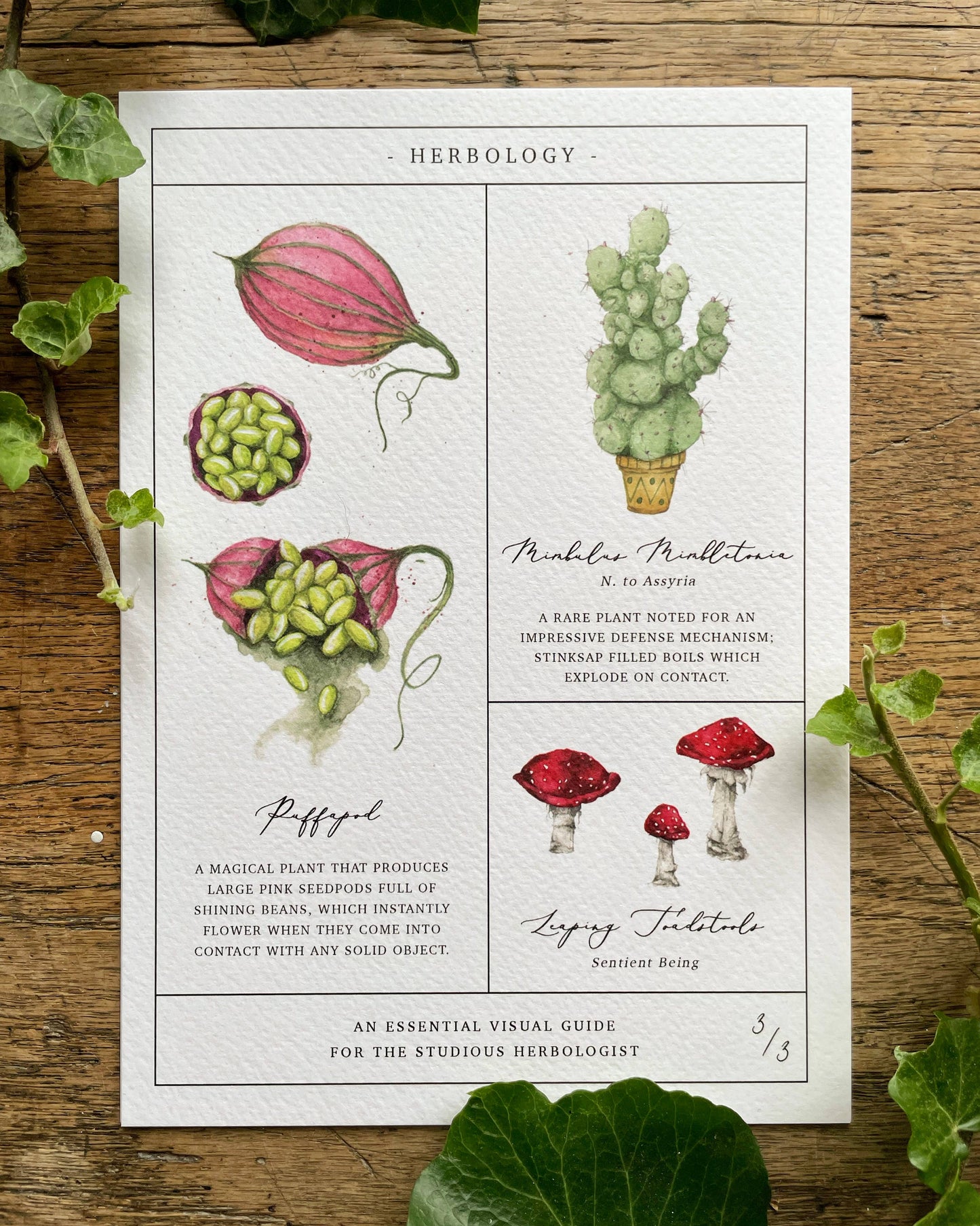 Herbology Chart Magical Botanical Art Prints