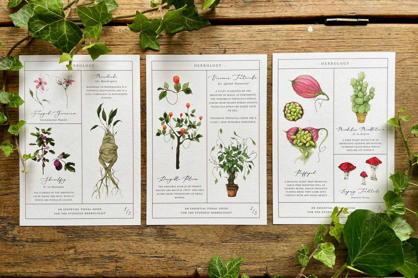 Herbology Chart Magical Botanical Art Prints